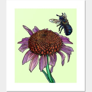 Purple Coneflower and Mason Bee Posters and Art